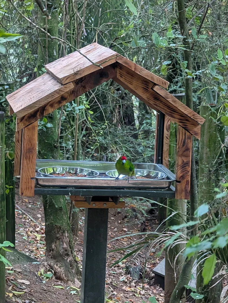 Wildlife Conservation